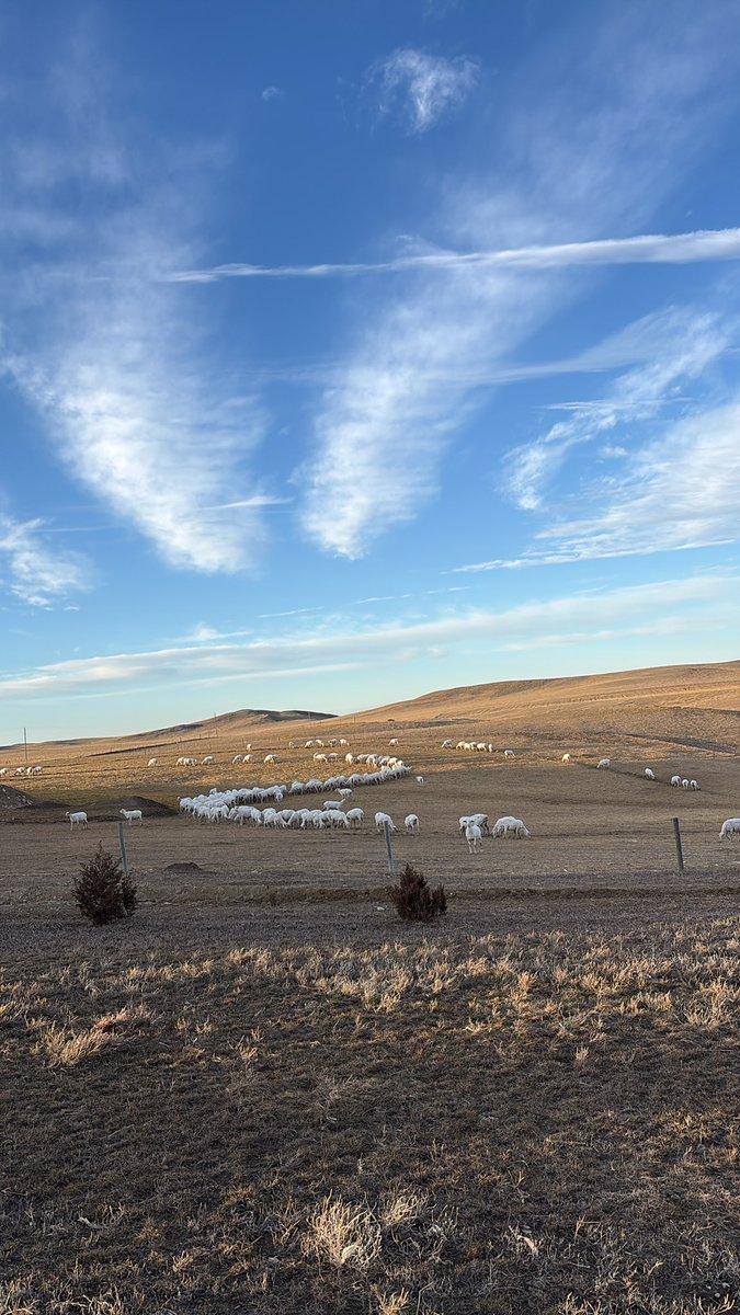 JP Farm and Ranch tweet media