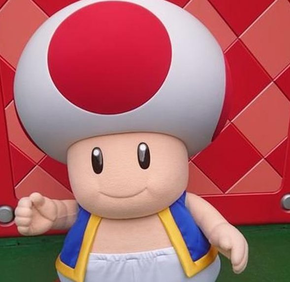 SweetGleffe's tweet image. 本を行く 👇