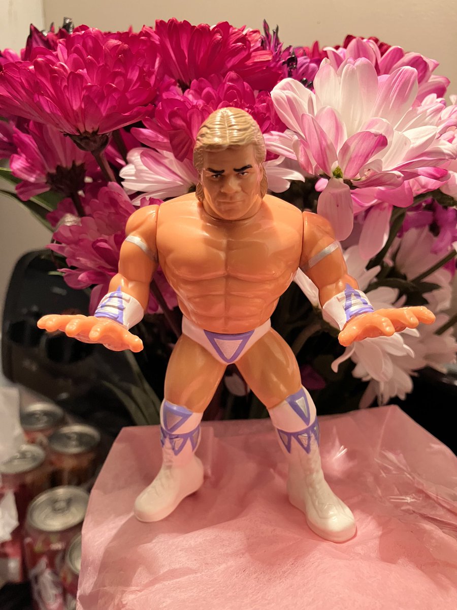Mizzars_'s tweet photo. @GenuineLexLuger Check out what I surprised my boyfriend with for Valentines Day! 💙🤍 https://t.co/UMhlVZZYwM