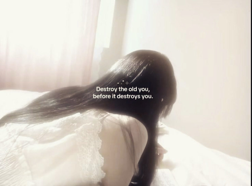 prettypuppypink's tweet photo. #edtwt warning!!!

 5’5/165.1 

8teen (*^‿^*)

❌dni SHtwt if you post cuts ❌

 i like kpop, girlish/fem things, not eating, and drama
   
♡︎/⟳ if u wanna be moots ₍ᐢ. .ᐢ₎
 #moots #edtwt #kpoptwt #girlytwt https://t.co/WzGyxtNpIO
