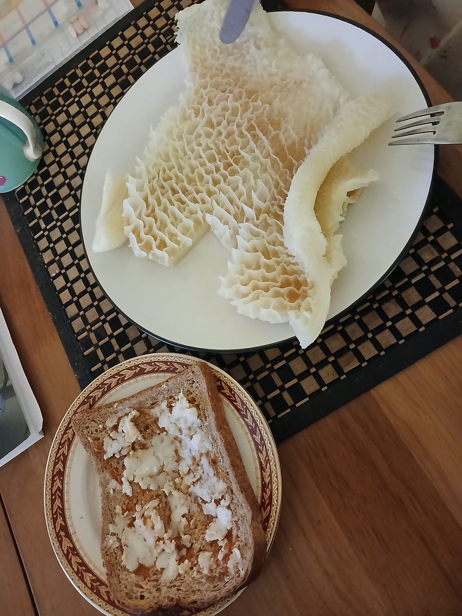 Lynne Mitchell ⭐⭐ tweet media