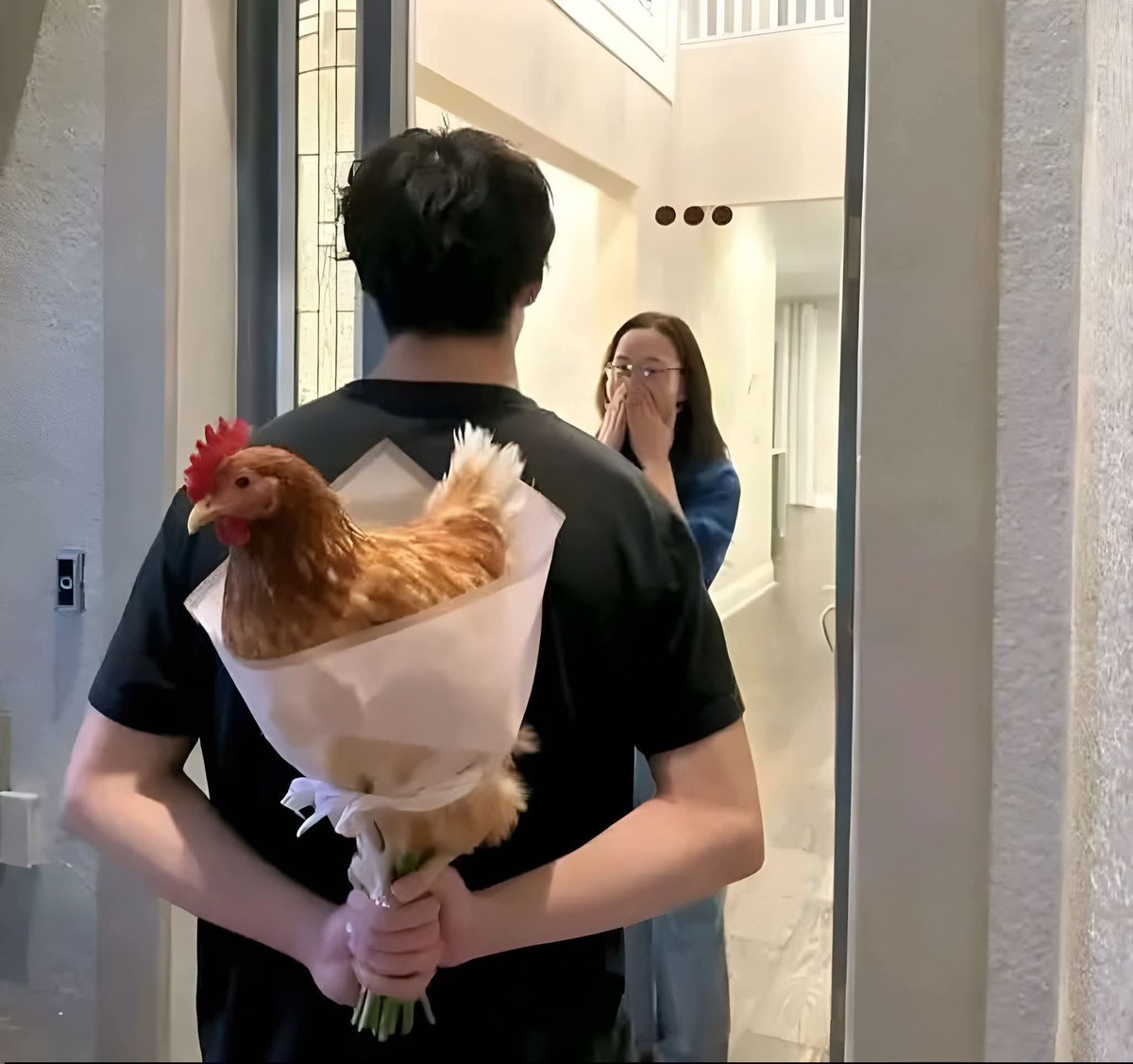 Crypto Pollo tweet media