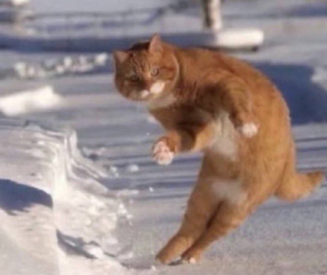 نواف التميمي 📊. tweet media