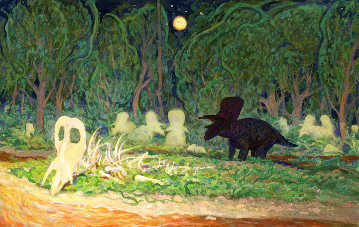 Lucas Attwell 🇦🇷 🍉 tweet media