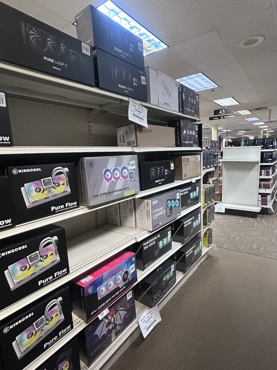 ellie ❀ tweet media