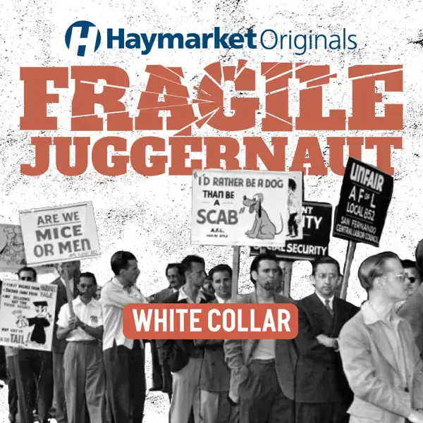 Fragile Juggernaut: A CIO Podcast tweet media