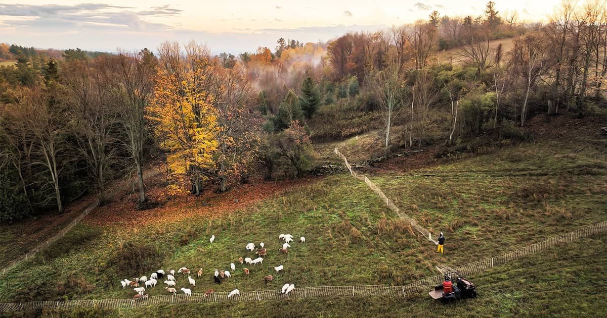 In Ontario? Planning a project to implement nitrogen management, cover cropping, or rotational grazing? Get your soil health project funded through OFCAF! Learn more about the program administered by <a href="/OntarioSoilCrop/">Ontario Soil & Crop</a> here: ow.ly/k4OZ50YbLqu #sponsored