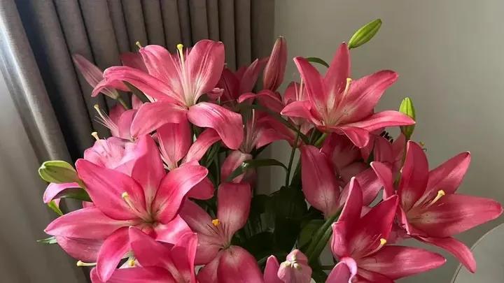 Purely Green tweet media