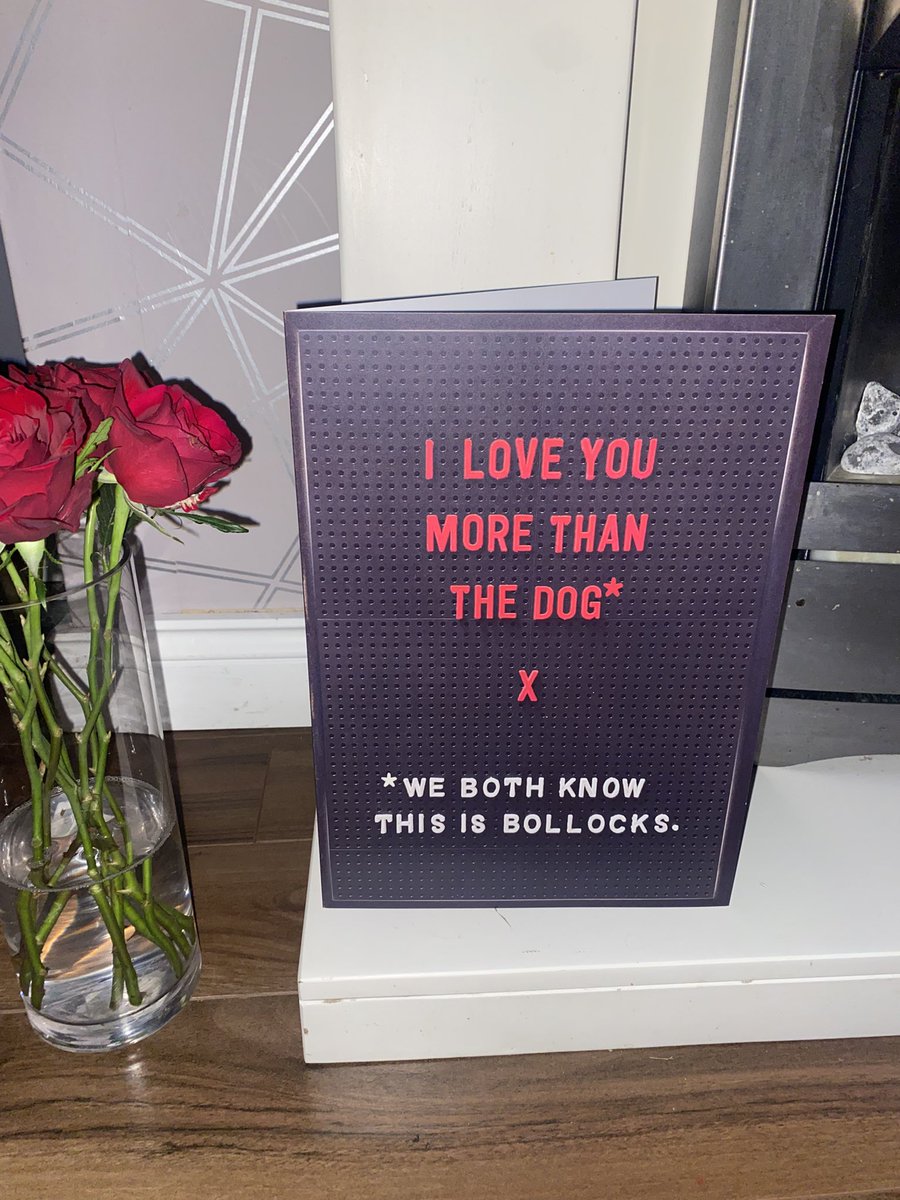 LauraEWhite20's tweet photo. 🤣❤️🐾 https://t.co/iZ7oAhH7KD