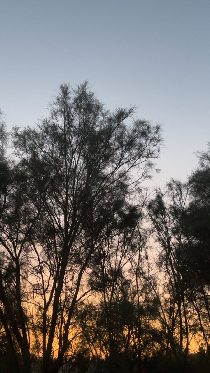 suqs_'s tweet photo. جميع من حولي اتحدث معهم ، بعقل ، بنضج ، بحذر 

الا انتِ اتحدث معك ، بقلبي ، بعاطفتي ، برغبتي https://t.co/g2UAr9cf4z