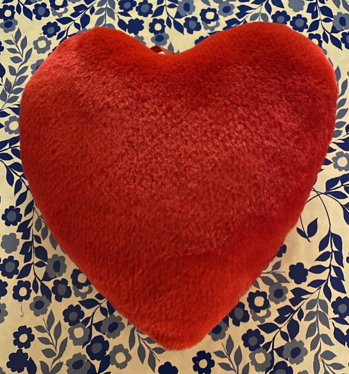 Vandaag waren we in Appelscha om schoonzus Hannie haar verjaardag te vieren en het was een supergezellige dag❤️Het rode hart kreeg ik van haar i.v.m. Valentijnsdag❤️