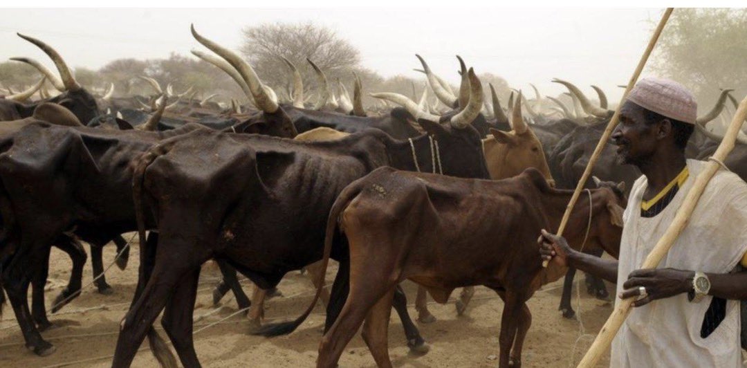 Yoruba Union Accuses President Tinubu of Handing Yorubaland to Fulani Extremists Over Ranching Programme in Kwara
