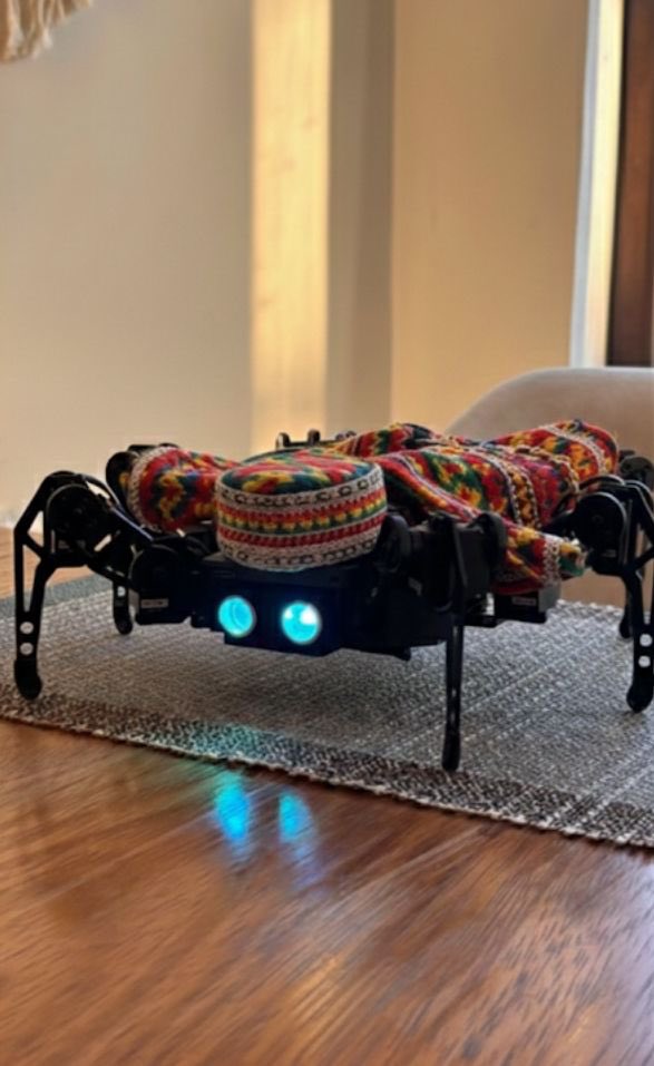 منـار محمد 🕷️🕸️| Manar tweet media