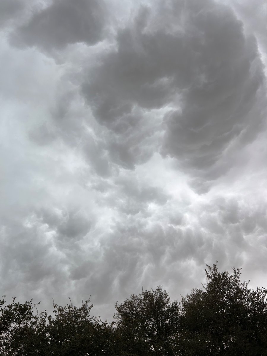 Gabe Cox 🌪️ tweet media