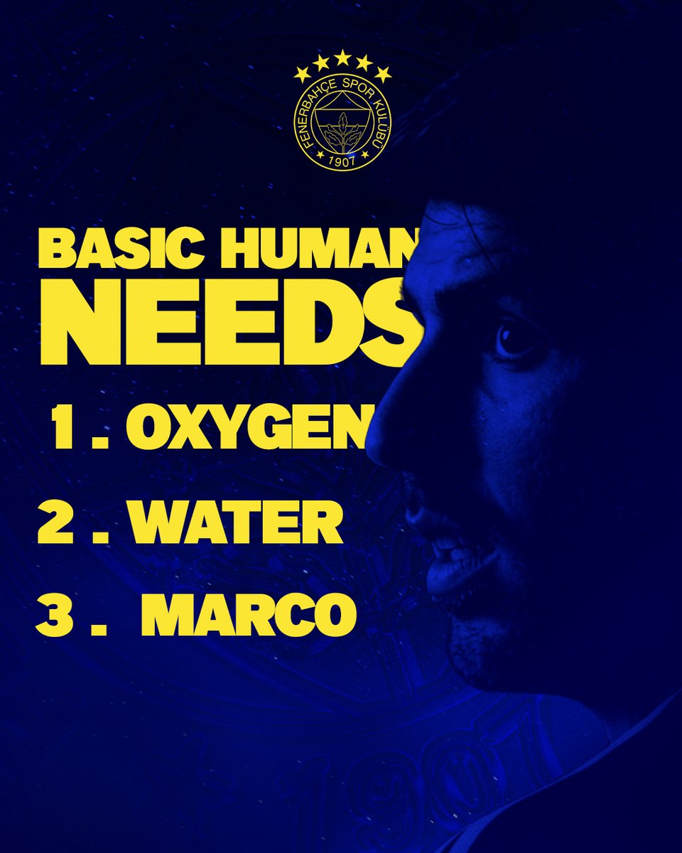 Fenerbahce_EN's tweet image. Basic human needs 😌