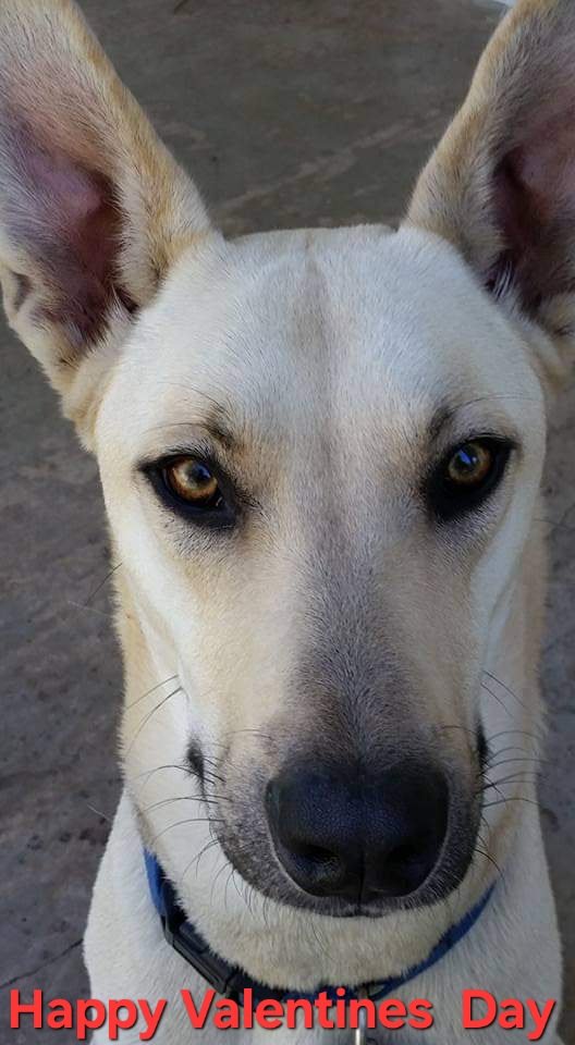 A little something from Colt for the ladies.