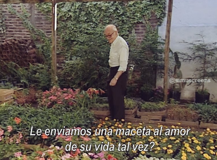 SimuScreens tweet media