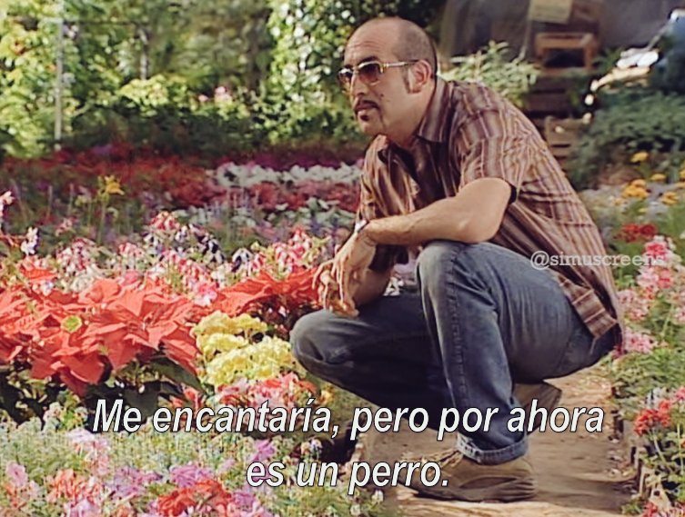 SimuScreens tweet media