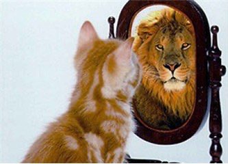 hayonden's tweet photo. Eğer, borsa yatırımcısı veya oyuncusu 
. Zaaflarını
. Duygusal tepkilerini
. Kuralsızlığını
. Bilgisizliğini
. Sabırsızlığını 
. Başarısızlıklarını 
vb.. farketmez veya kabul etmez  ise, #Borsa hepsini seve seve kabul eder ve karşılığını verir. Bu anlamda borsa adildir.
#bist   #xu100