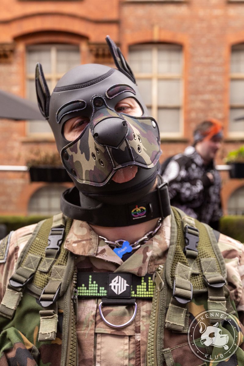 🏳️🌈🇬🇧PupFidget1991 🇬🇧🏳️🌈 tweet media