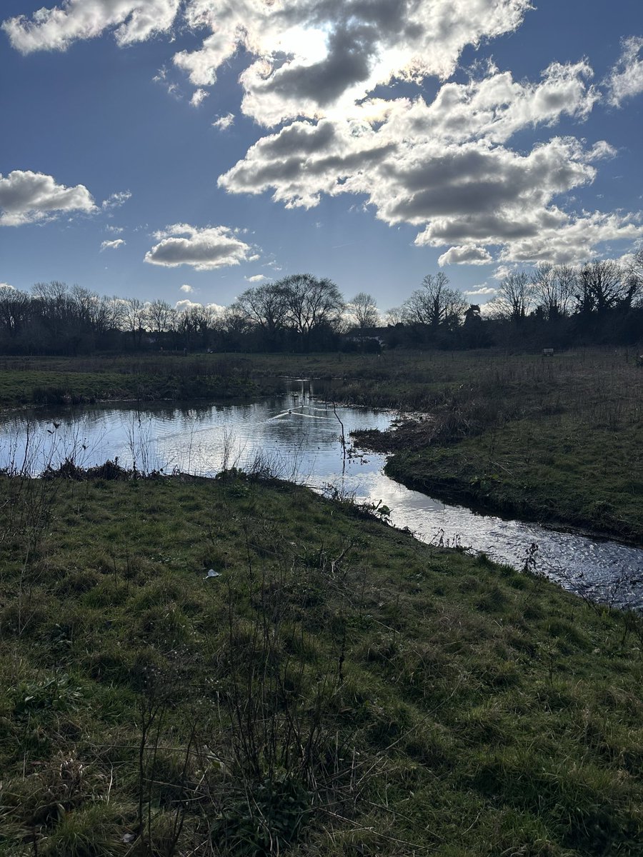 the sun came out. time came for me to come out of hibernation and venture outside