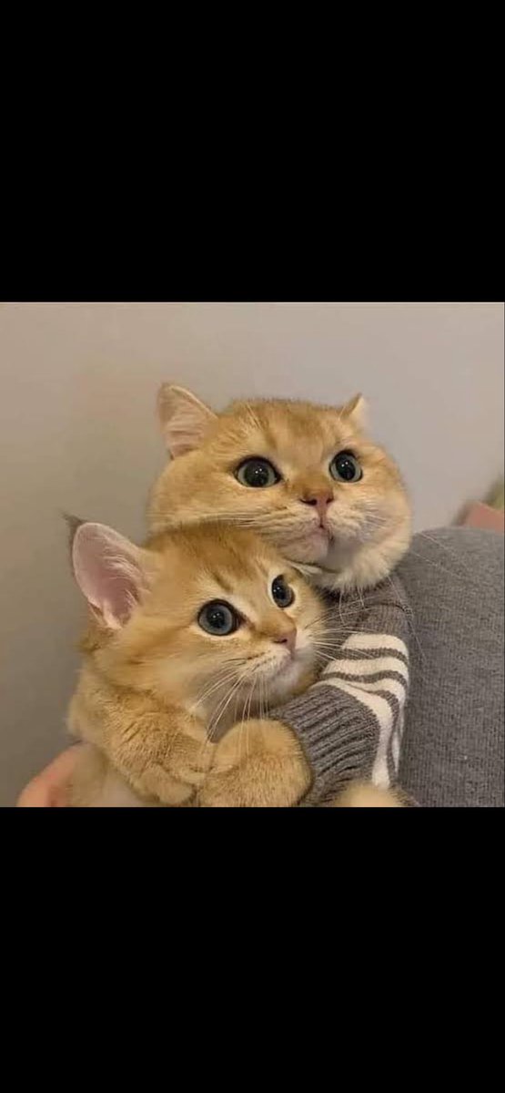 Good night  guys 😴 
I just finish my assignment at shop now
Another successful day 
I hope you guys had same?