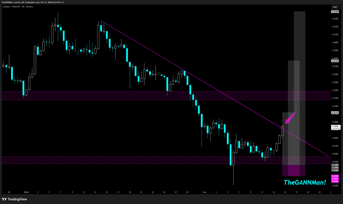 If what they say is true, that is, that a picture is really worth a thousand words, then you have all the words you need right here! 👇

All eyes on the larger trendline break this time! 🔥🔥