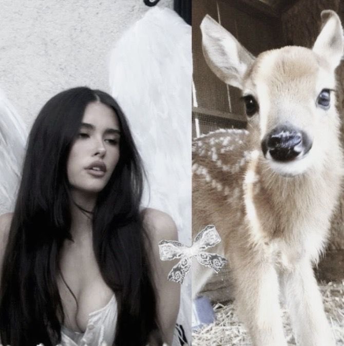 aya 𑣿 tweet media