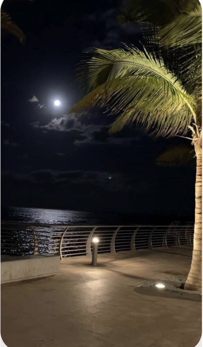 غاده ،،معلمة،، tweet media