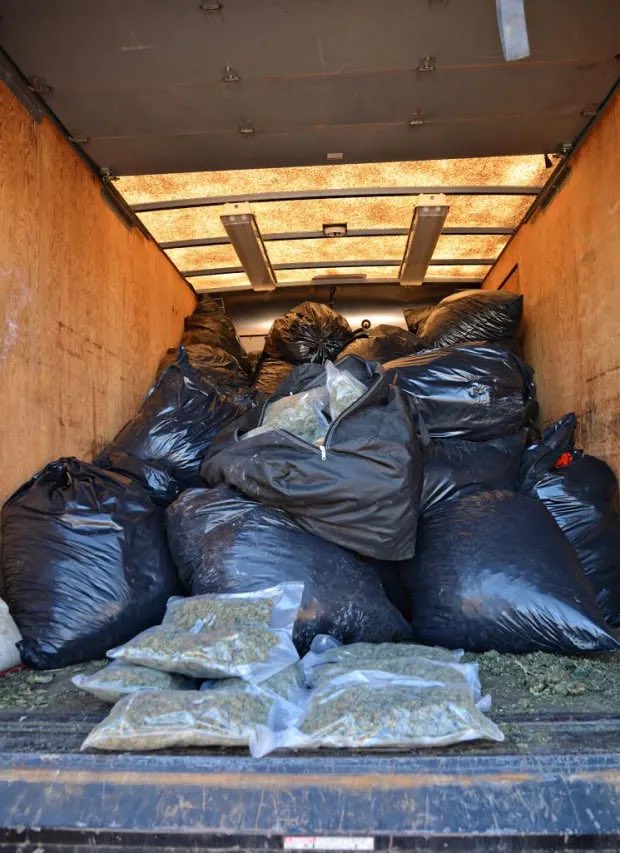 This is what 1500 lbs of Cannabis looks like. 

Estimated at $4.5M. 

Seized by Montrose County Sheriffs deputy, (following up on a warrant for overdue property taxes) 
•••••••••••••••••••••••••••••••••••••••

Literally a truck full of weed,