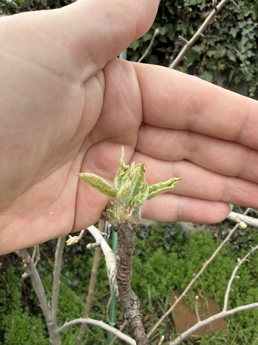 seedsoilsun tweet media