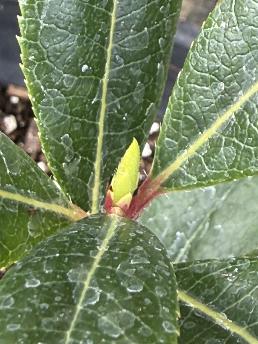 seedsoilsun tweet media