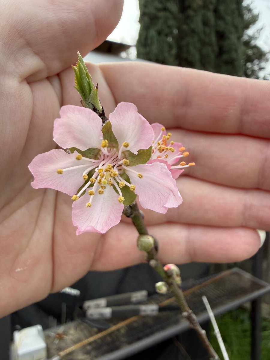 seedsoilsun tweet media