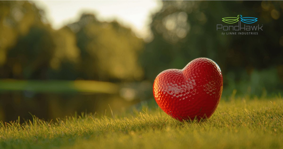 PondHawk by LINNE Industries tweet media