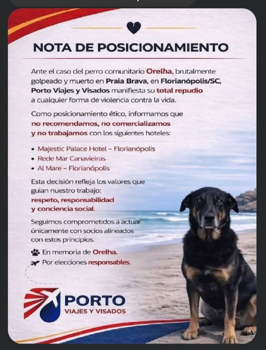 Justicia por Orelha 💔