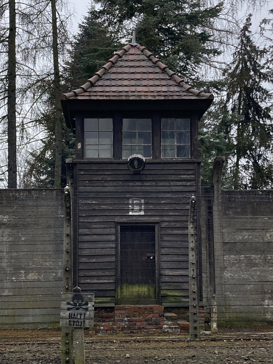 Matthew Teller tweet media