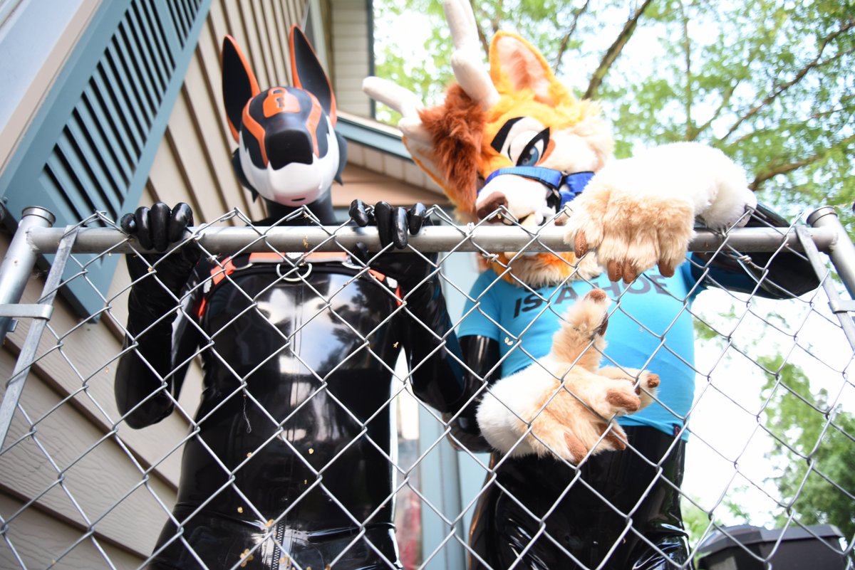 Come open the gate, let the dogs out :3 🐕
You won't regret it