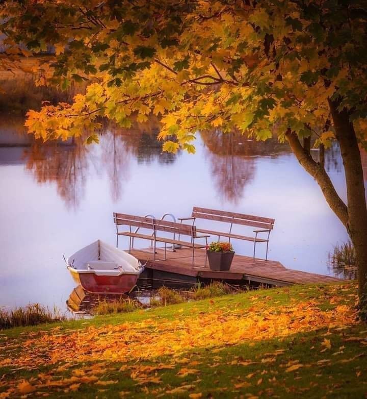 🌸〰••

أصبحت ⁧ ثقتنا ⁩ بالآخرين 
كَ خريف ⁧ هادئ ⁩ كل يوم…. ⁧ تسقط ⁩ منه ⁧ ورقة .. 🌹