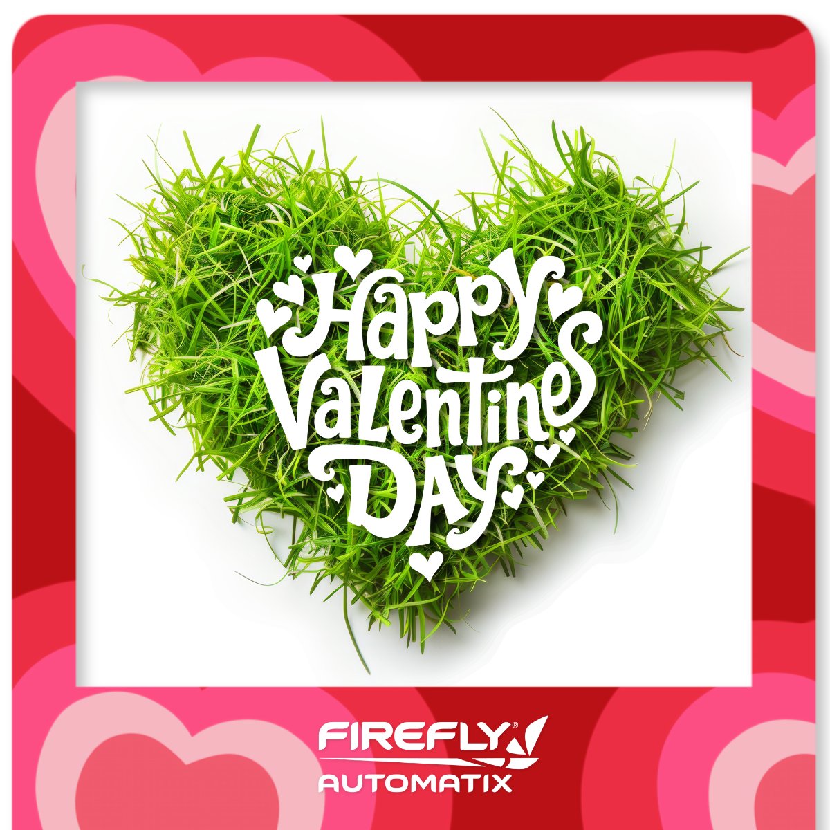 FireFly Automatix tweet media