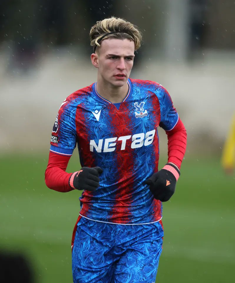 Paul Apling tweet media