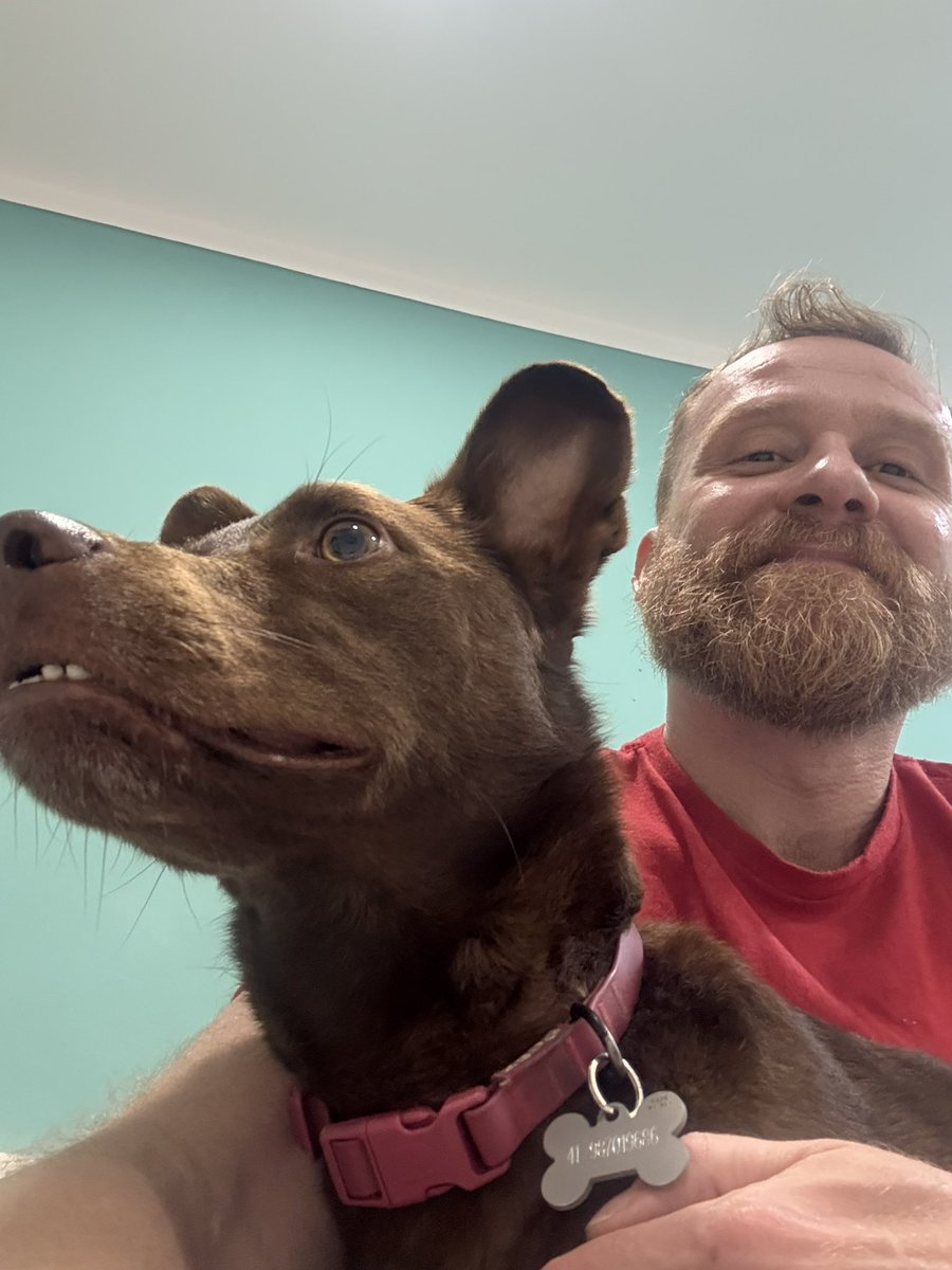 barba_ruiva's tweet image. Quantas saudades do meu nêne! #Wando #UmcãoChamadoWando