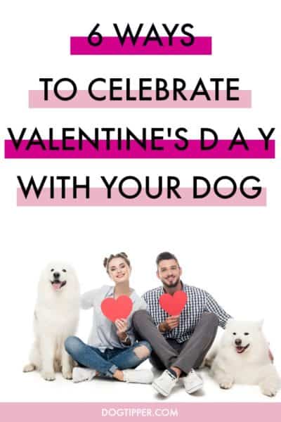 We hope that everyone is having a happy Valentine's Day! Here are 6 fun ways to celebrate the holiday with your "puppy love" dogtipper.com/celebrate-vale…