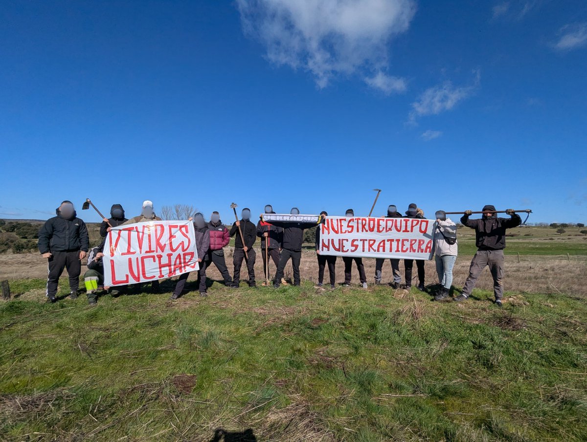Verracos tweet media
