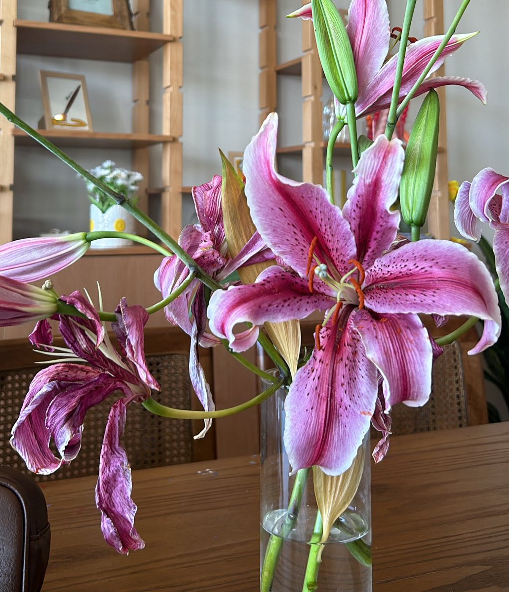 Nada11jj's tweet photo. عشوائيات الأسبوع الماضي 🌺 https://t.co/4Iqk9DwFQU
