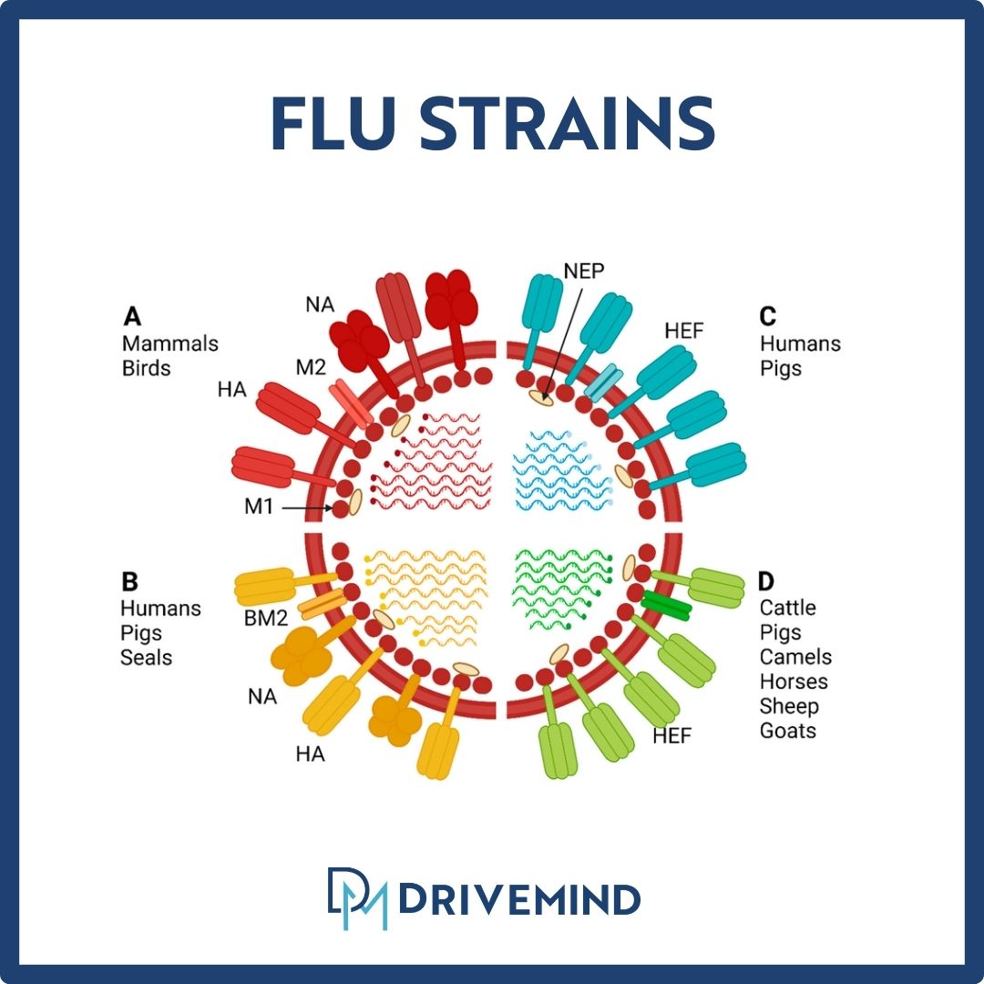 DriveMind tweet media
