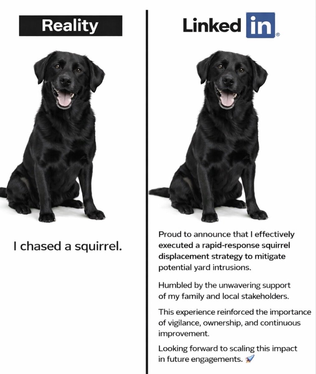 matriona tweet media