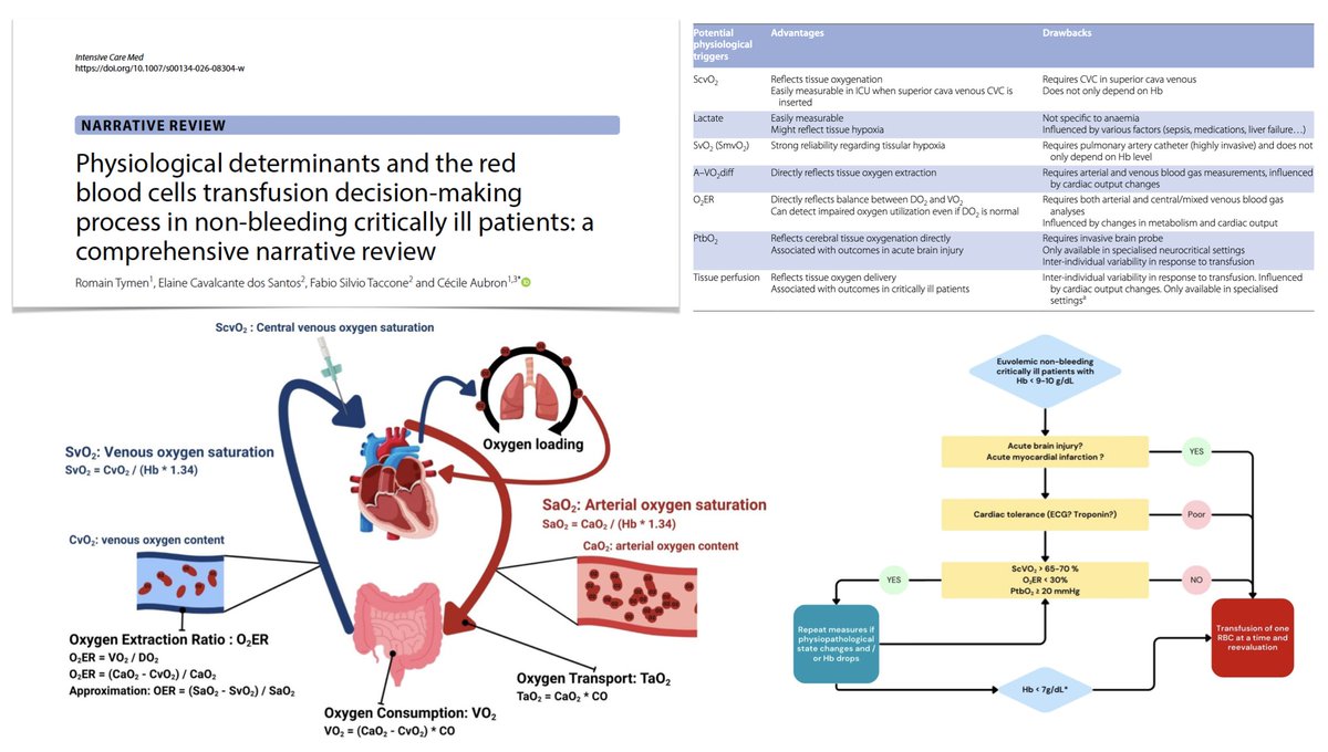 Physiological determinants and red blood cells transfusion decision making process in non bleeding critically ill patients, comprehensive narrative review
🩸 O2 transport/consumption, and adaptation mechanisms to a drop in Hb
🩸 why should RBC transfusion not be based only on Hb