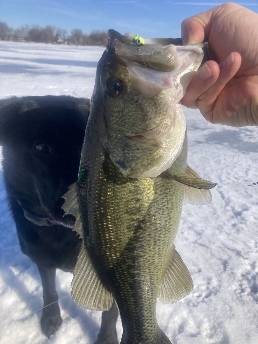 D w/Lily tweet media