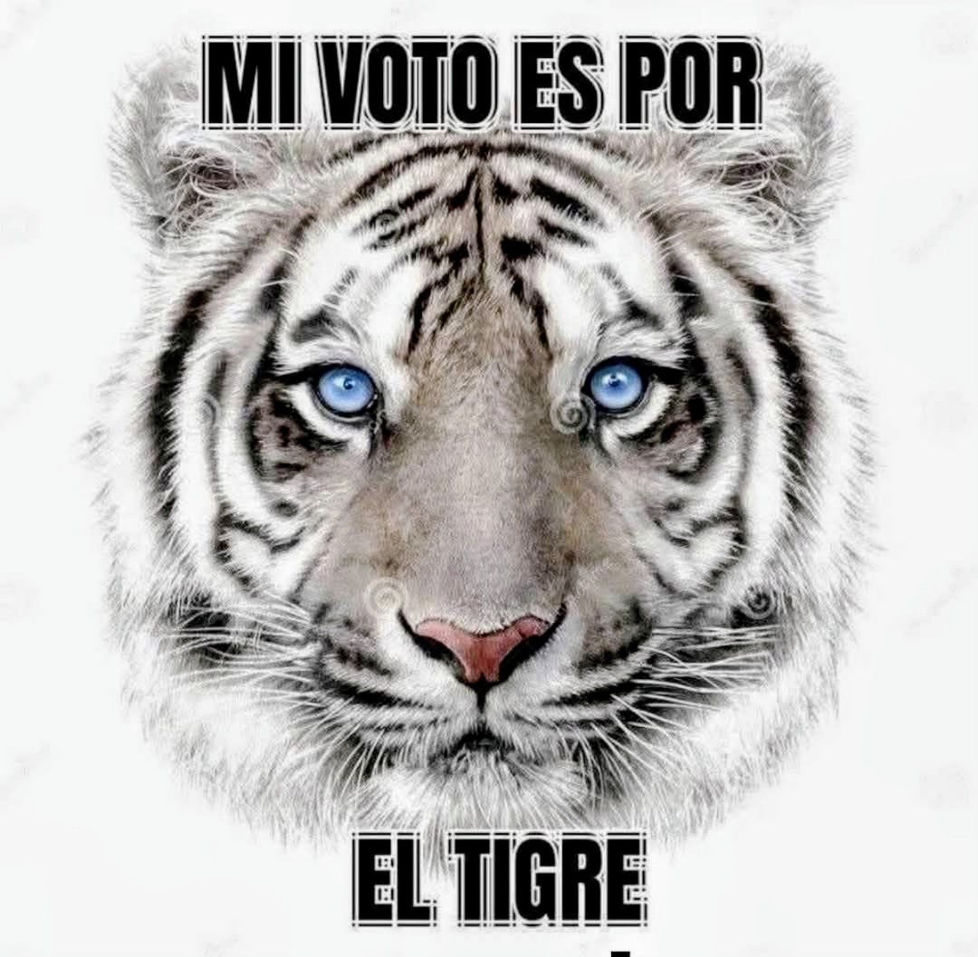 Karlos_artu's tweet image. 🇨🇴🇨🇴💪🫶El El Tigre avanza, la Patria despierta y la victoria se construye juntos.
*¡Firme por la Patria!*🇨🇴💪