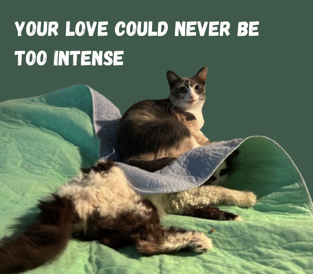 Happy Valentine’s Day :)